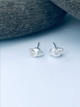 Load image into Gallery viewer, Orford Shell Stud Earrings