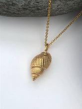 Load image into Gallery viewer, Gold Heveningham Shell Necklace