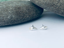 Load image into Gallery viewer, Dunwich Shell Stud Earrings