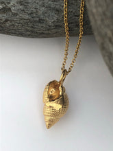 Load image into Gallery viewer, Gold Heveningham Shell Necklace