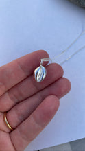 Load image into Gallery viewer, Cornish Cowrie Shell