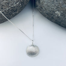 Load image into Gallery viewer, Silver Large Bawdsey Clam Shell Necklace