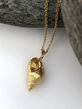 Load image into Gallery viewer, Gold Heveningham Shell Necklace