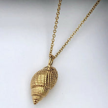 Load image into Gallery viewer, Gold Heveningham Shell Necklace