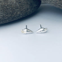 Load image into Gallery viewer, Dunwich Shell Stud Earrings