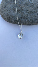 Load image into Gallery viewer, Cornish Cowrie Shell