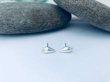 Load image into Gallery viewer, Dunwich Shell Stud Earrings