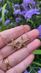 Better Together Starfish