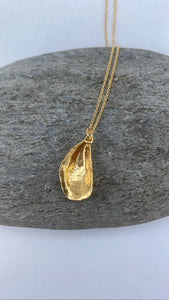 Gold Cornish Mussel Necklace