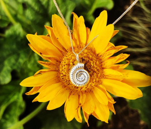 Silver Ammonite Shell Necklace