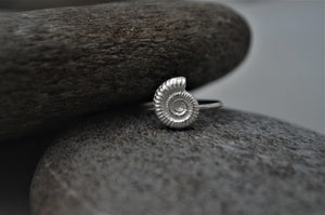 Silver Ammonite Shell Ring
