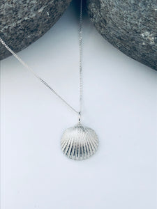 Silver Large Bawdsey Clam Shell Necklace
