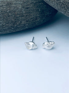 Orford Shell Stud Earrings