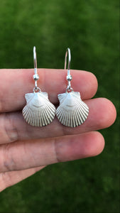 Silver Cornish Scallop Drop Down Earrings