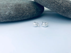 Orford Shell Stud Earrings