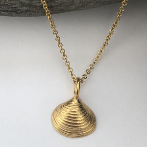 Gold  Walberswick Clam Shell Necklace