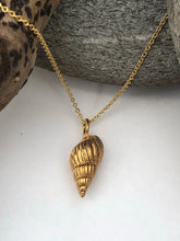Load image into Gallery viewer, Gold Rendlesham Shell Necklace