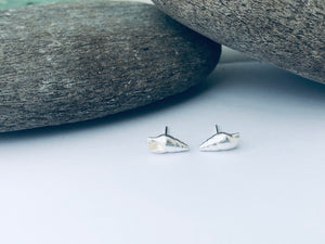 Dunwich Shell Stud Earrings
