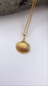 Gold Bawdsey Clam Shell Necklace
