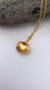 Gold Bawdsey Clam Shell Necklace