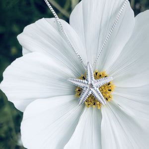 Silver Starfish Necklace