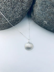 Silver Large Bawdsey Clam Shell Necklace