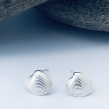 Load image into Gallery viewer, Framlingham Shell Stud Earrings