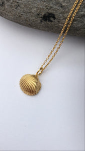 Gold Bawdsey Clam Shell Necklace