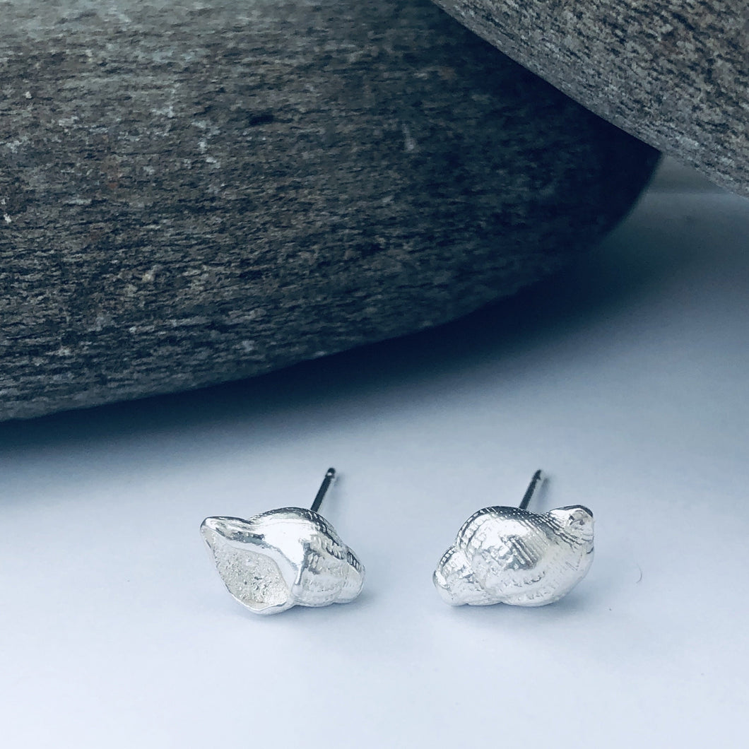 Orford Shell Stud Earrings