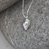 Silver Snape Shell Necklace